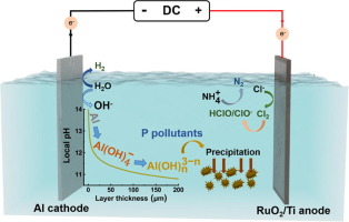 我公司生產的BOD-Q水質測定儀所采集數據在國際期刊《Chemical Engineering Journal》上發表