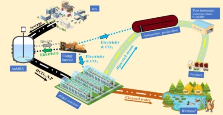 中國科學(xué)院重慶綠色智能技術(shù)研究院在污水處理新型工藝研究方面取得進展