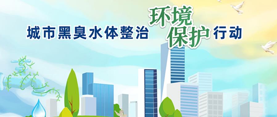 城市黑臭水體整治環境保護行動