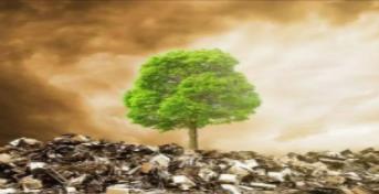 海南印發新污染物治理工作方案　動態發布重點管控新污染物清單