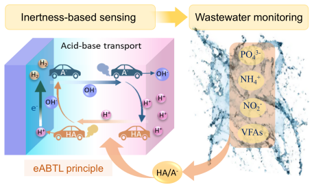 公司支撐團隊成員殷逢俊在水質電化學傳感檢測原理及方法方面取得研究進展
